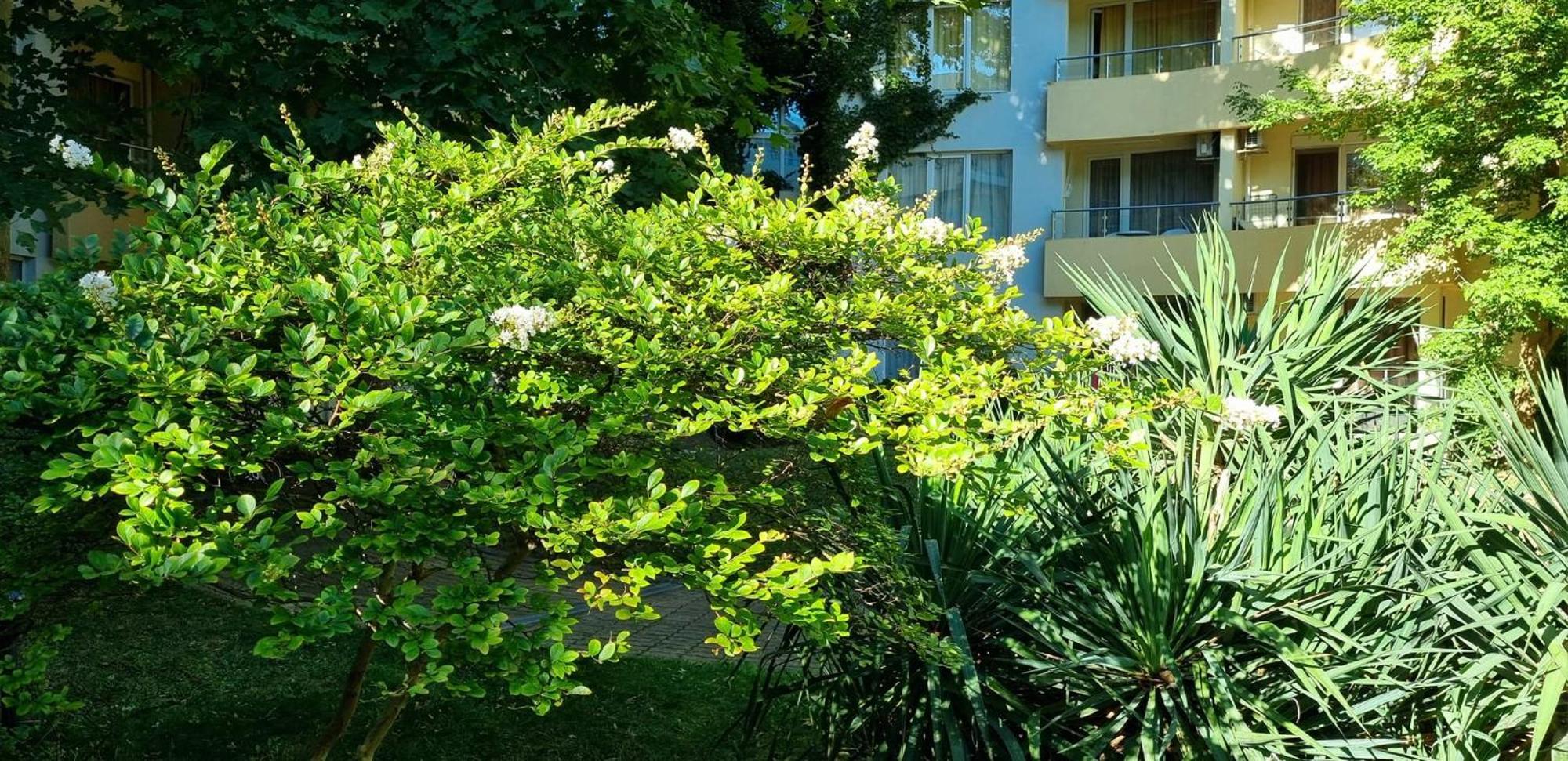 Niko Apartments Sluneční pobřeží Exteriér fotografie