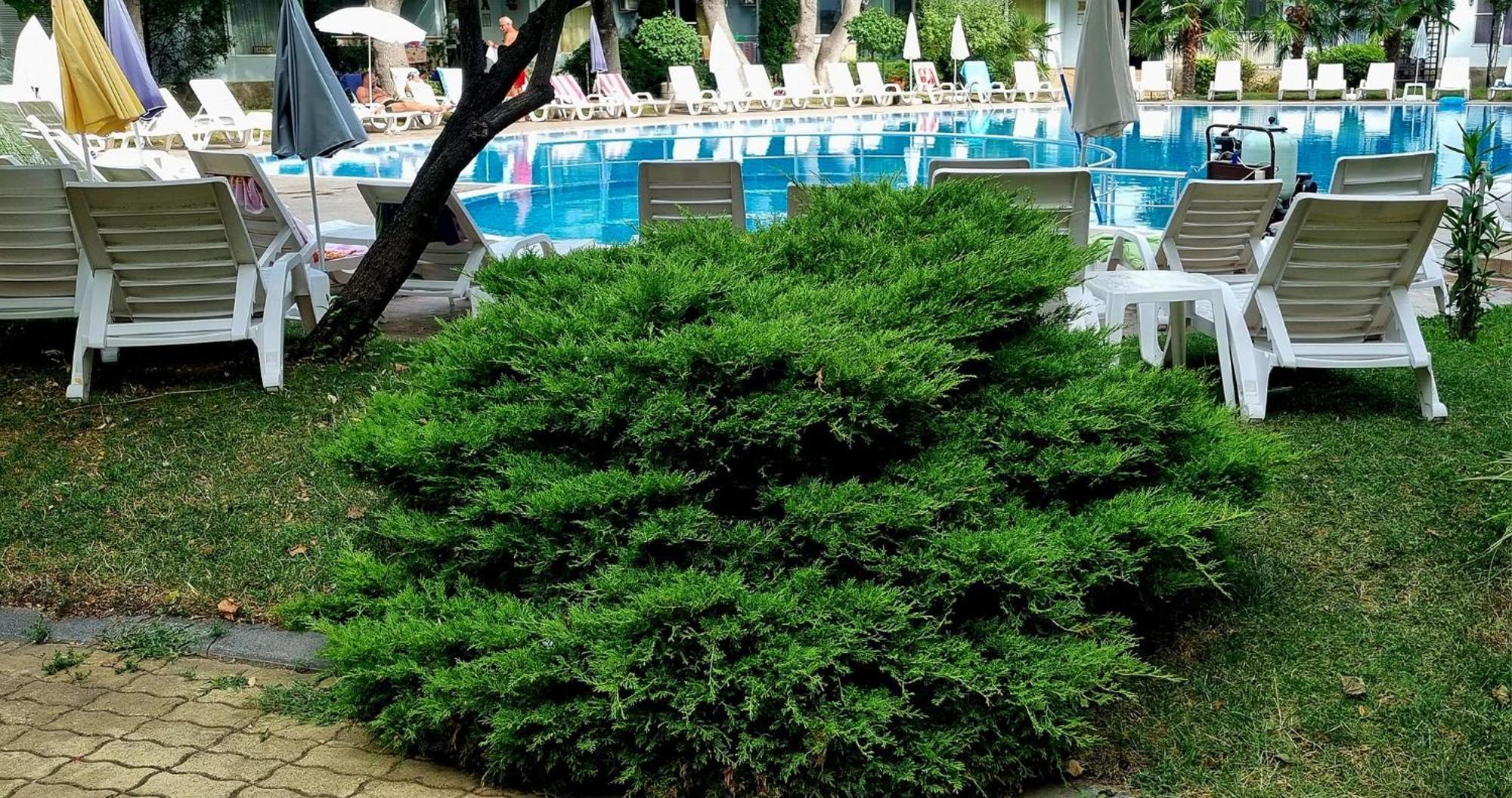 Niko Apartments Sluneční pobřeží Exteriér fotografie