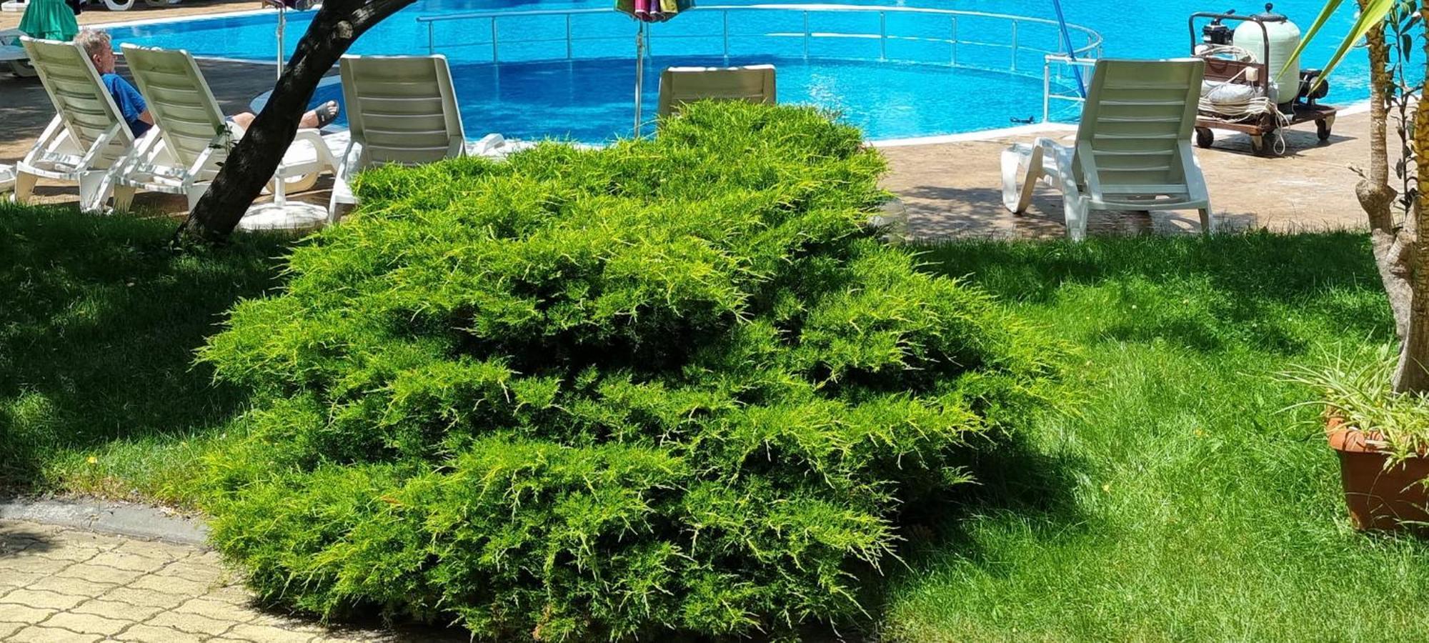 Niko Apartments Sluneční pobřeží Exteriér fotografie